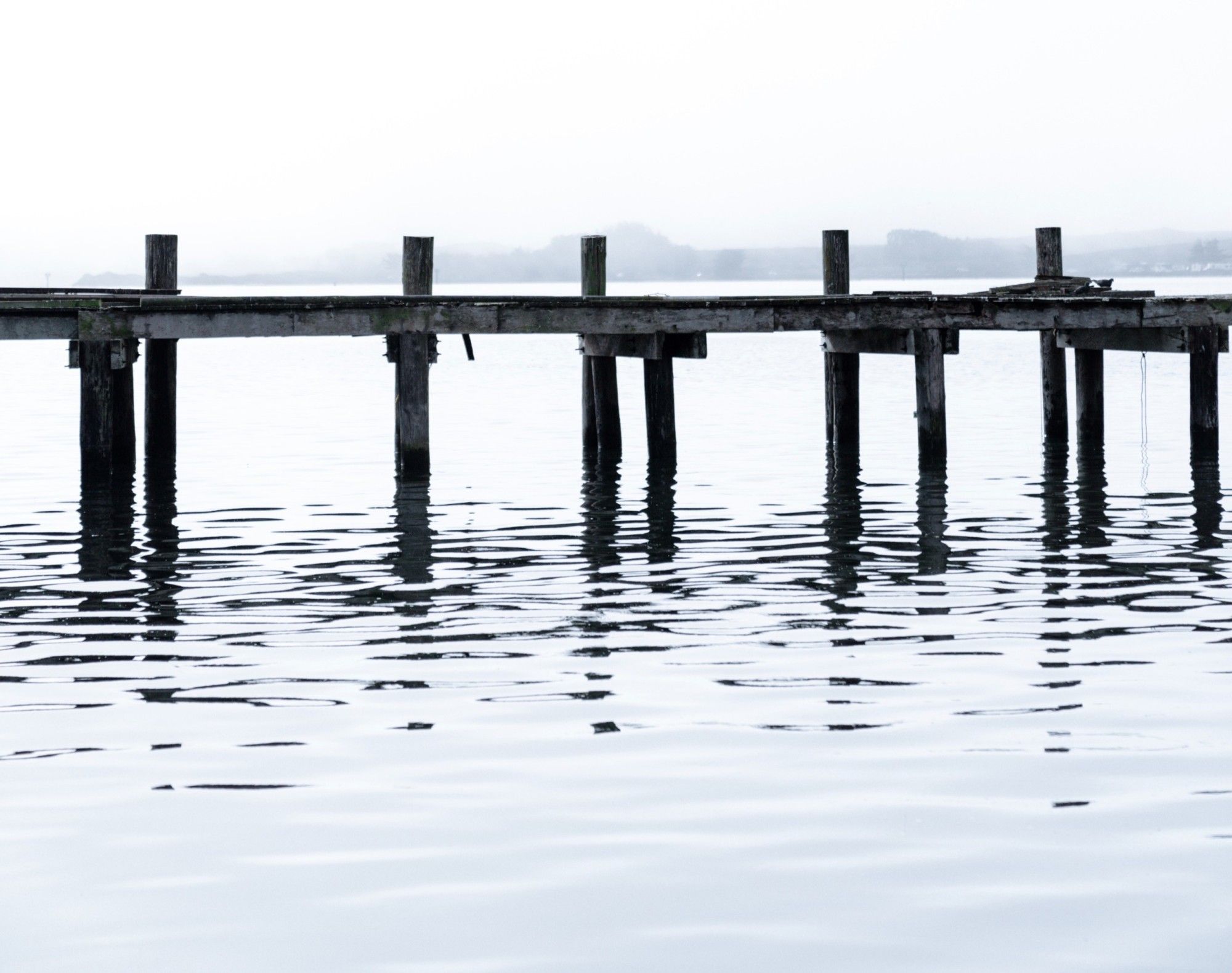 Salmon Friendly Docks - Resilient Coasts for Salmon