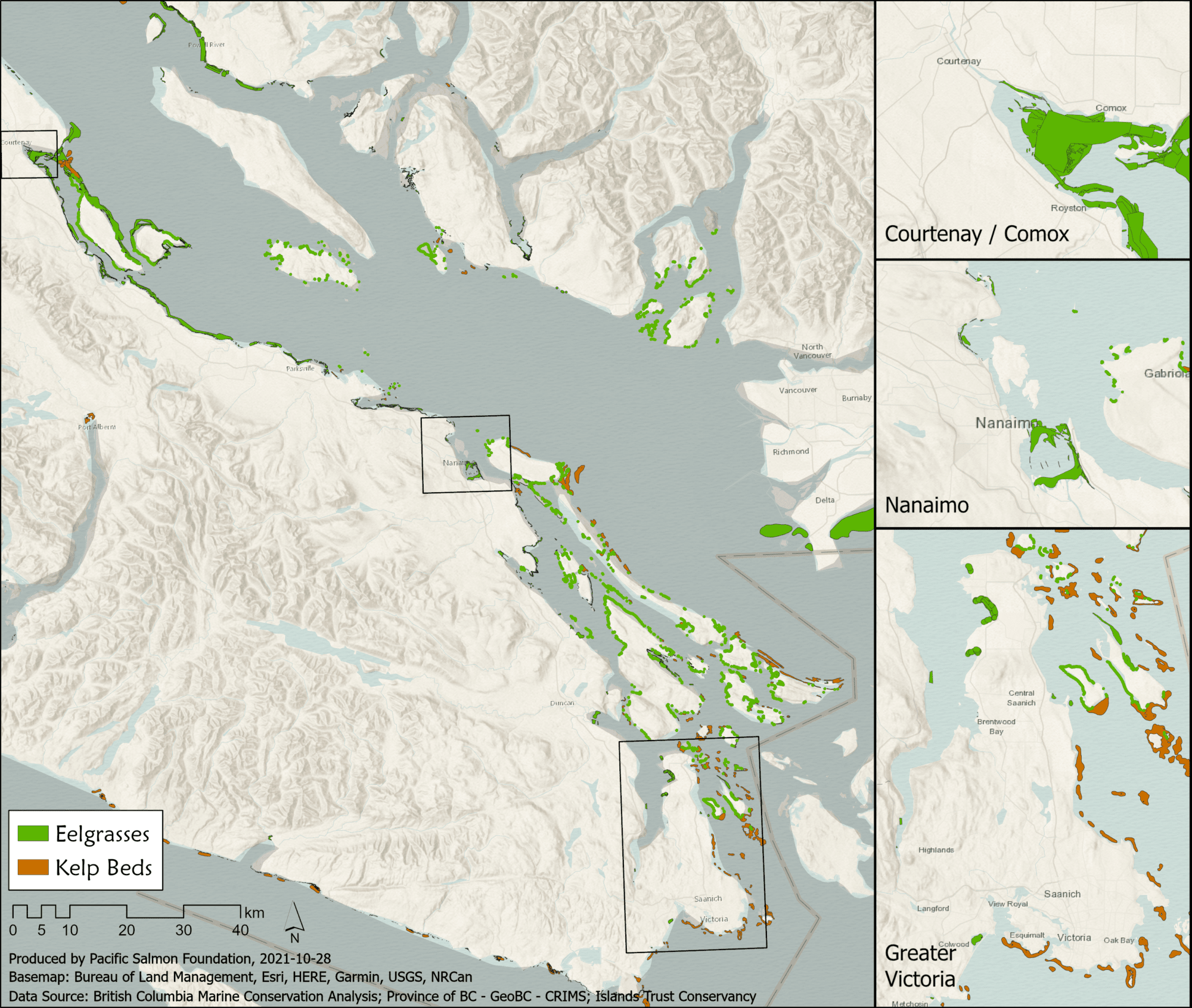 Protecting Eelgrass When Boating - Resilient Coasts for Salmon